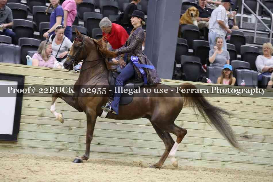 Proof 22BUCK_02955