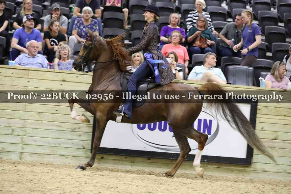 Proof 22BUCK_02956