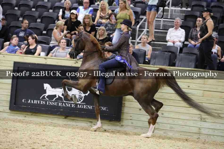 Proof 22BUCK_02957