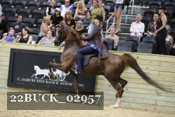 22BUCK_02957 proof