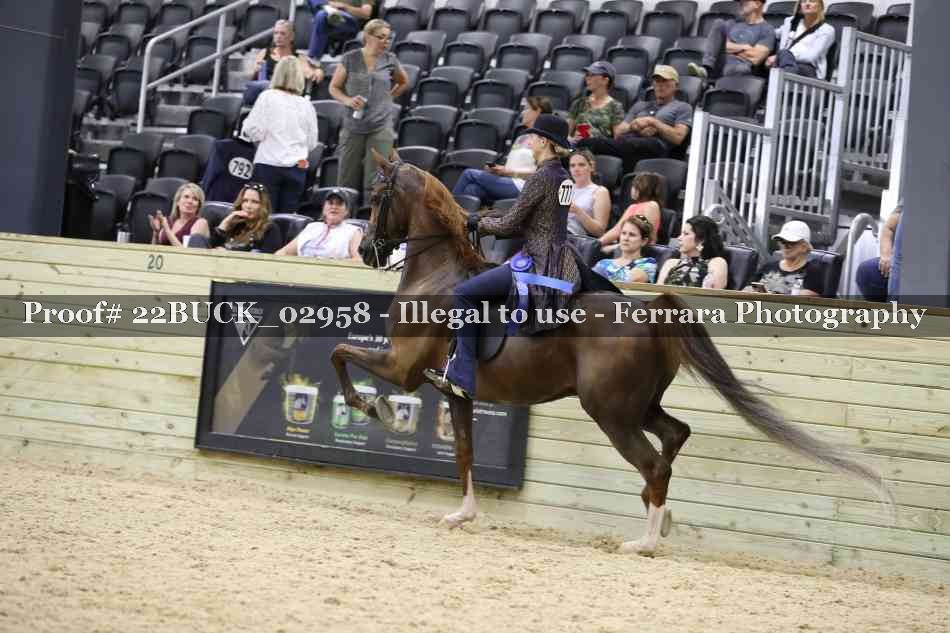 Proof 22BUCK_02958