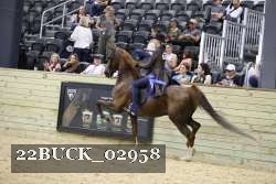 22BUCK_02958 proof
