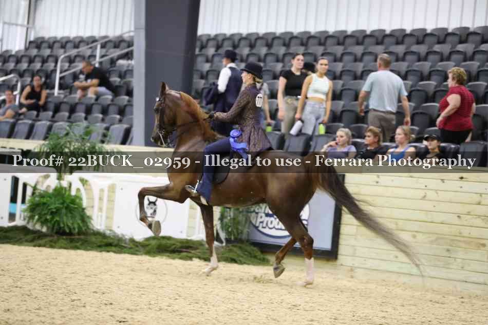 Proof 22BUCK_02959