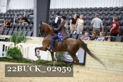 22BUCK_02959 proof