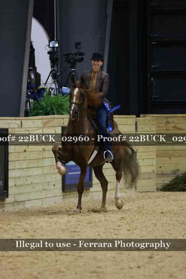 Proof 22BUCK_02960