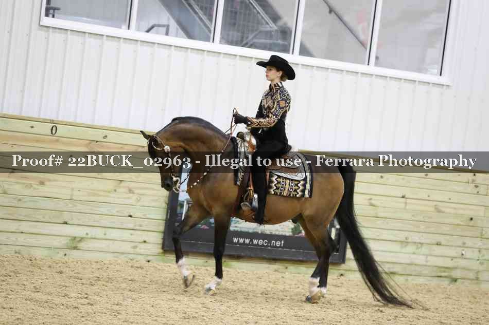 Proof 22BUCK_02963
