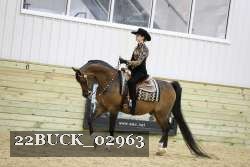 22BUCK_02963 proof