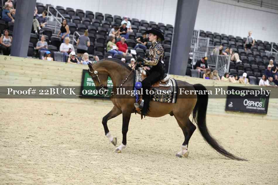Proof 22BUCK_02967