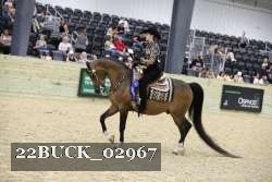 22BUCK_02967 proof