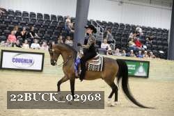 22BUCK_02968 proof