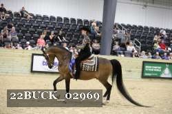 22BUCK_02969 proof