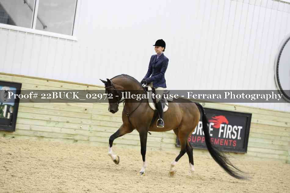 Proof 22BUCK_02972