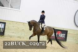 22BUCK_02972 proof
