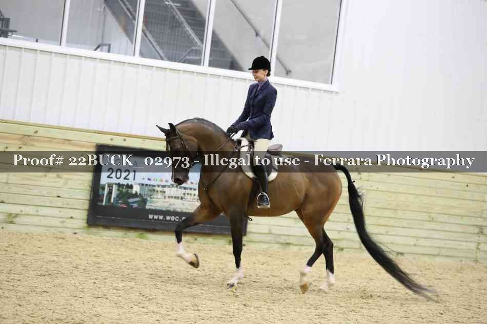 Proof 22BUCK_02973