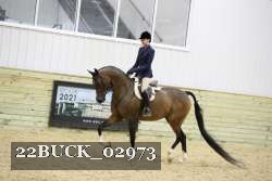 22BUCK_02973 proof