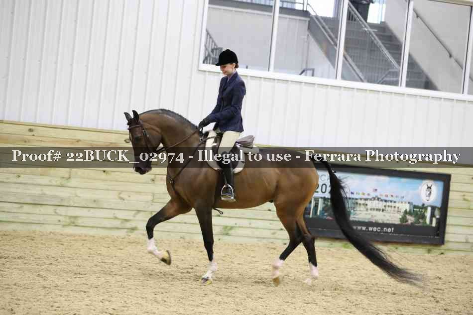 Proof 22BUCK_02974