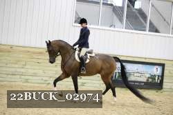 22BUCK_02974 proof