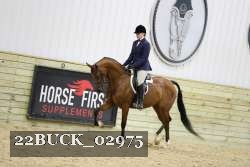 22BUCK_02975 proof