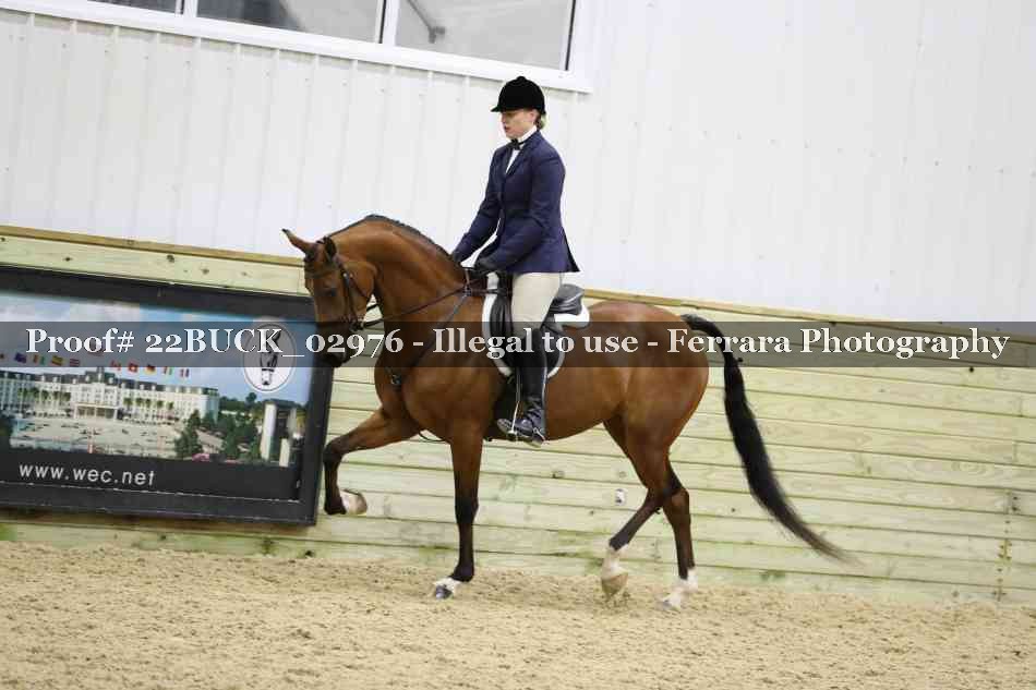 Proof 22BUCK_02976