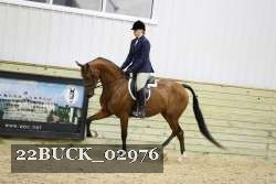 22BUCK_02976 proof