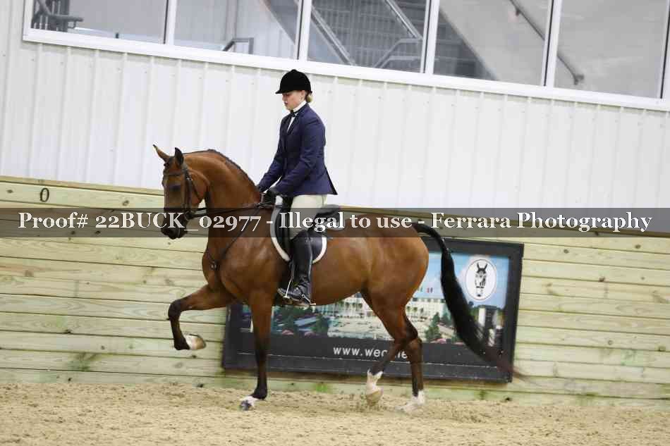 Proof 22BUCK_02977