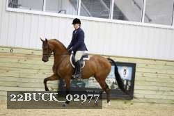 22BUCK_02977 proof