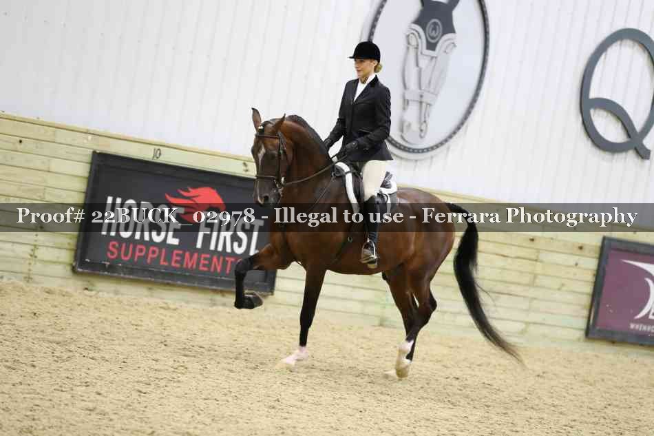 Proof 22BUCK_02978