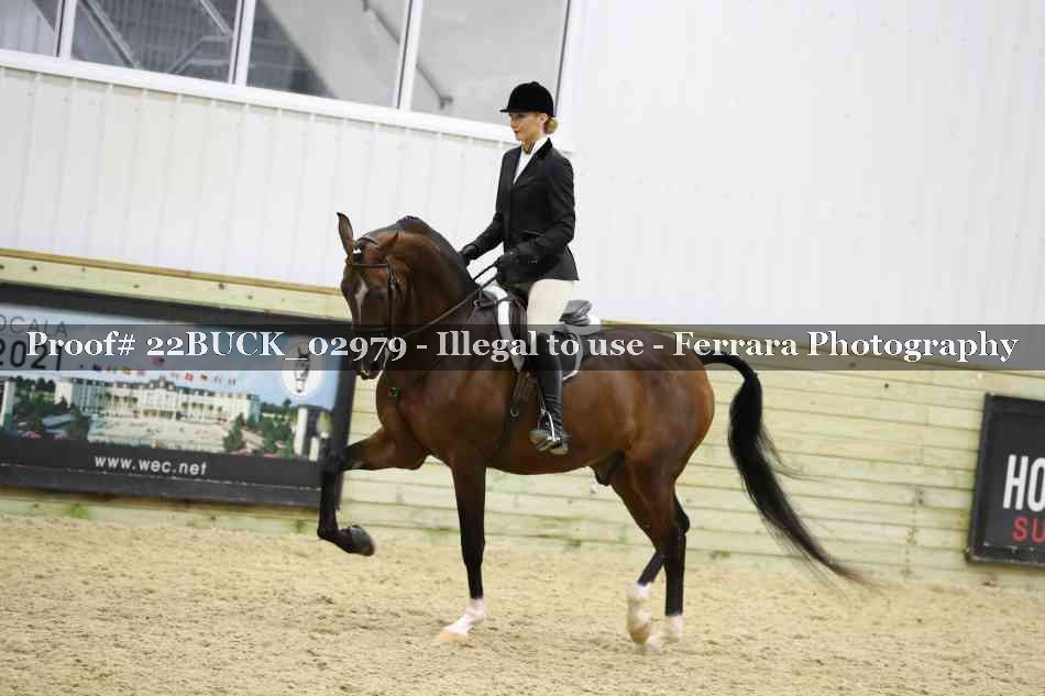 Proof 22BUCK_02979