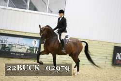 22BUCK_02979 proof