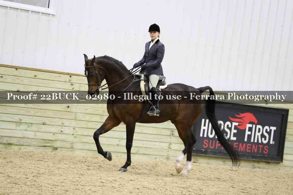 Proof 22BUCK_02980
