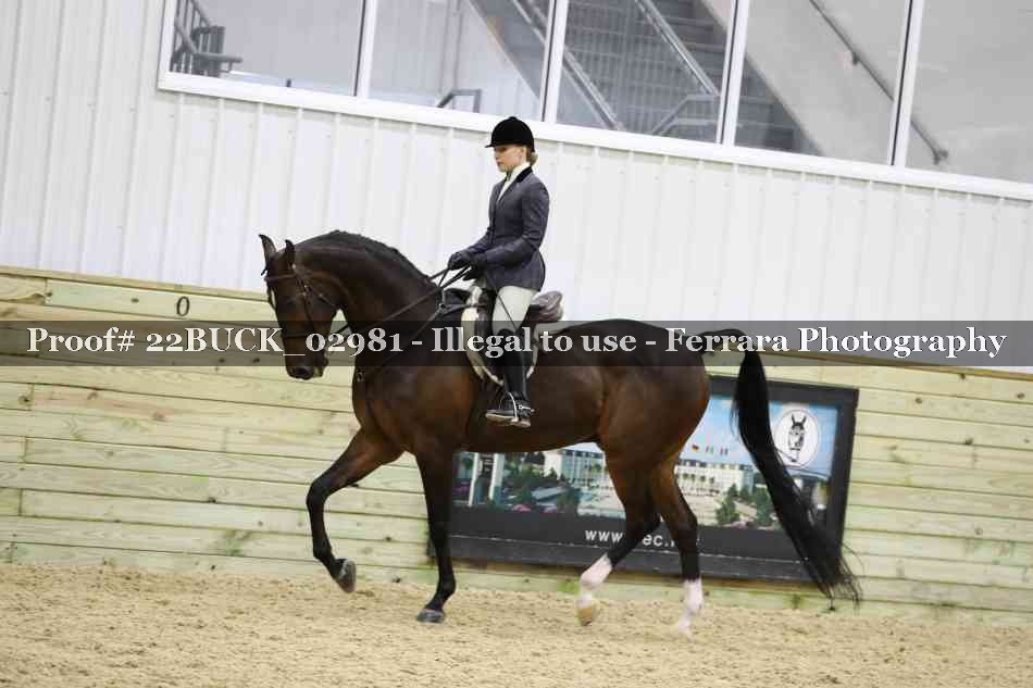 Proof 22BUCK_02981