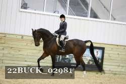 22BUCK_02981 proof