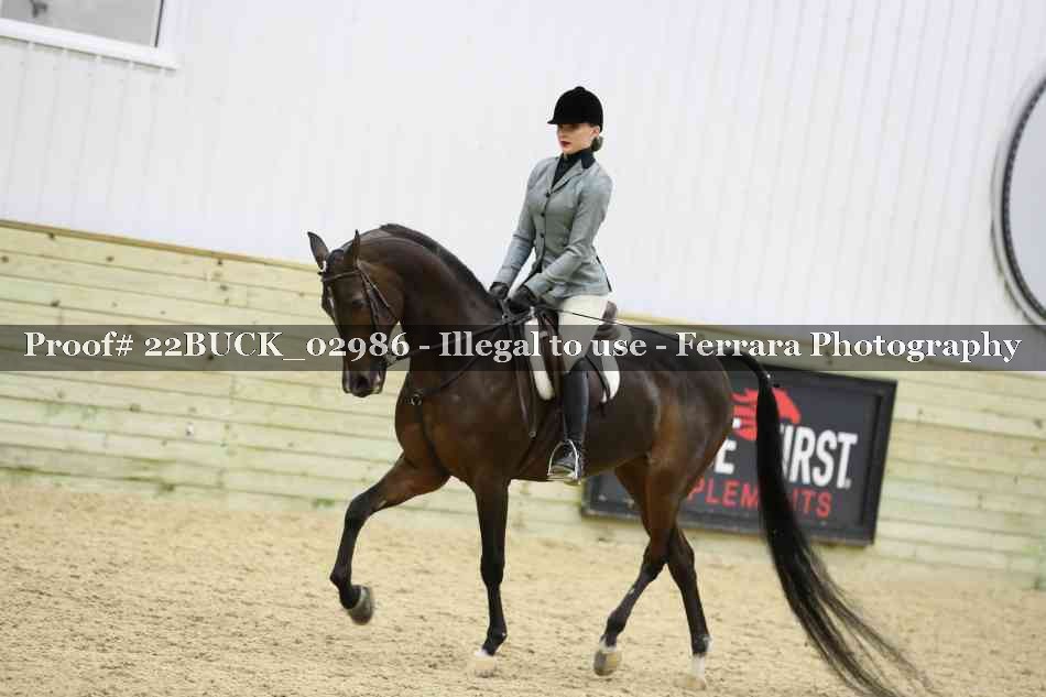 Proof 22BUCK_02986