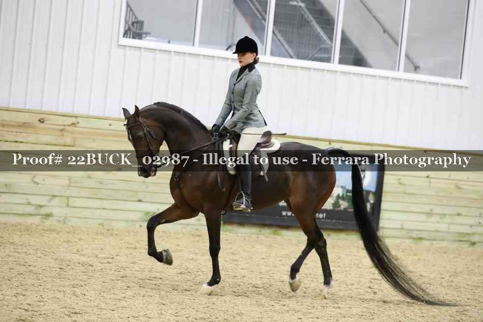 Proof 22BUCK_02987