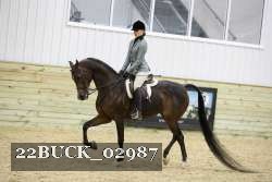 22BUCK_02987 proof