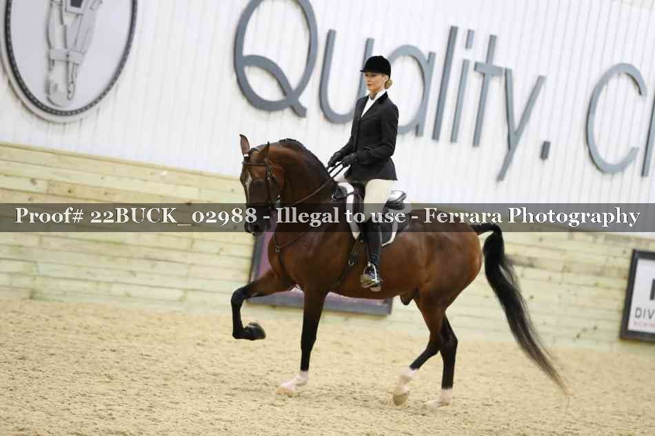 Proof 22BUCK_02988