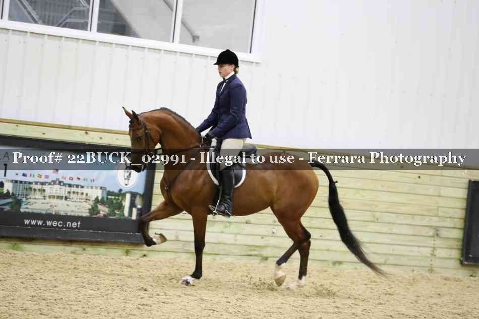 Proof 22BUCK_02991