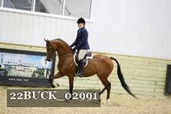 22BUCK_02991 proof