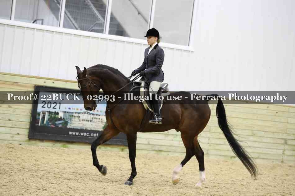 Proof 22BUCK_02993