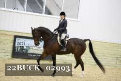 22BUCK_02993 proof