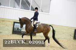22BUCK_02994 proof