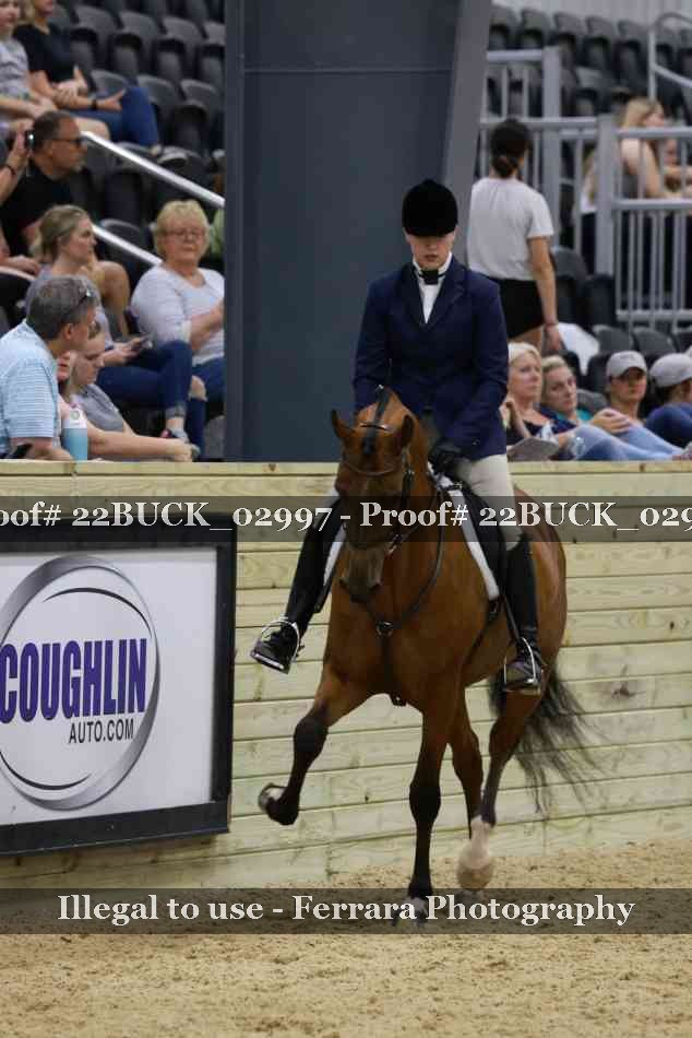 Proof 22BUCK_02997