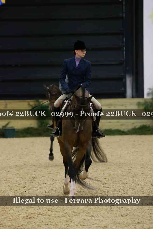 Proof 22BUCK_02999