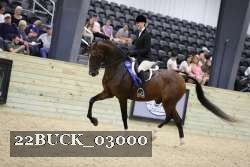 22BUCK_03000 proof