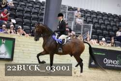 22BUCK_03001 proof