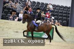 22BUCK_03002 proof