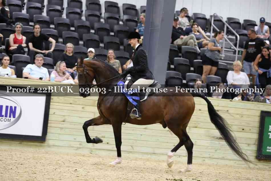 Proof 22BUCK_03003