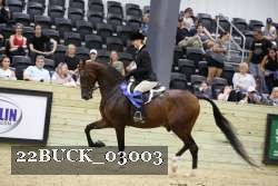 22BUCK_03003 proof