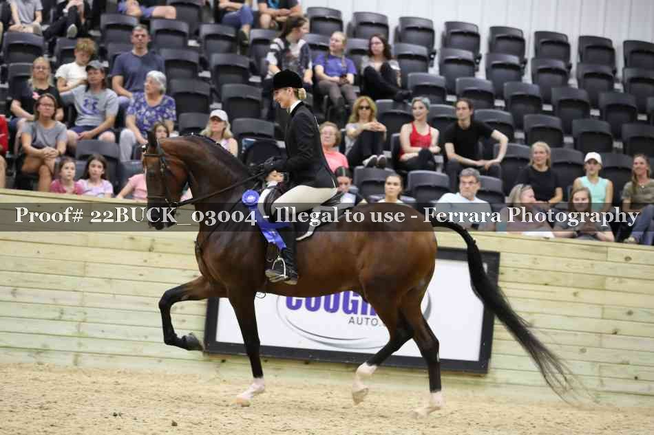 Proof 22BUCK_03004