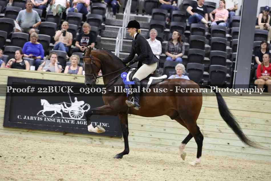 Proof 22BUCK_03005